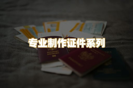 专业制作证件系列